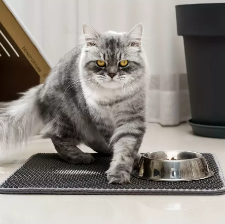 estera de arena para gatos